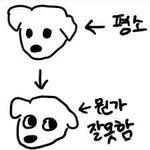 [댓글부탁해] 브라가 자꾸 가슴 <b>위로</b> 올라가는데 왜이런거임?