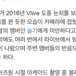 나무<b>위키</b> 이딴건 왜 있음
