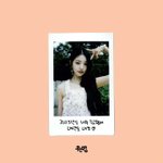 아이브 <b>폴라로이드</b> 인스타 업뎃