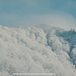 라이즈 1월 5일 <b>신곡티저</b>