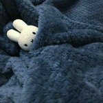 [드루와] 혹시 양승진 듣는사람 있어? ㅈㅂ