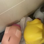 나오늘 이새끼들 배 찢을거임 ㅋㅋㅋㅋ