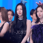 카리나 홈마한테 카메라 숨기라는거봄?
