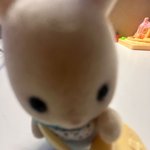 환승연애 재밌음??