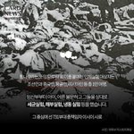 세상 참 신기한 듯 일본이