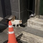 시간갖기로 했는데 럽스타 <b>피드</b> 다 내리는거