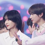 원빈 앤톤 견제 지<b>린다</b>