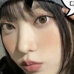 이거 해린 블러셔 알려<b>주</b><b>셈</b>!!!