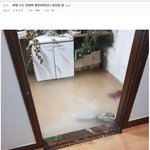 [방탈죄송] 집 안에 <b>실내</b> 스케이트장 오픈