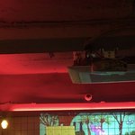 <b>Pt</b> 첫날에 머함?? 떨령