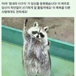 김민정으로 갈까 <b>유대종</b>으로 갈까