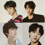 와 원빈 <b>앤톤</b> 이사진 보니까