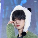 '<b>용안</b>'이라는 게 이런 거 아닐까?