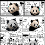 [모두드루와] 머글이 보는 <b>판다</b>즈