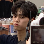 <b>빛삭</b> 쌍수