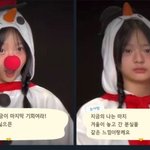 하니도 <b>개추</b> 밈 알까