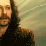 해리포터에서 한 명만 살릴 수 있다면?