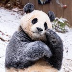 연세대 <b>정시</b> 경쟁률 봤는데