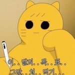 나 진짜 <b>여름</b>에 비키니 입을거임