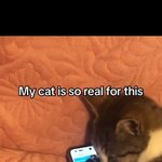 [방탄소년단] 마이 리를 캣