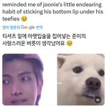 [방탄소년단] 남준이의 입술수납