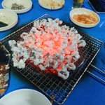 문어코 구이 먹어본 사람?