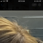 이 머리에서 <b>애쉬</b>베이지 ㄱㄴ할까???