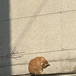[댓글부탁해] 재수생(이었던) 애들아 도와줘