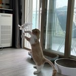 [비트이더] 새해복많이받으세요 !