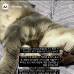 하이브(플디) 신인<b>남</b><b>돌</b> 투어스 로고관련 <b>입장</b>문