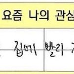 [댓글부탁해] 탕후루 알바생이 쓰는 정보글,,