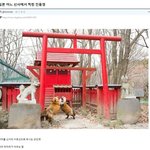 여우끼리 싸우던 일본 <b>신사</b> 근황
