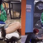 [엔하이픈] 누가 <b>희승</b>이 인간캣닢이래