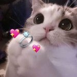 [19] 최애때문에 사는게 재밌어짐