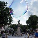 순간 포착의 <b>묘미</b>란 이런 거지