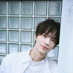 세븐틴 후배 플레디스 남돌 투어스 프로필