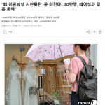 길고양이 문제 심각한데? 개체수 <b>조절</b> 해야 돼