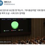 앞으로 보신탕 먹으면 <b>징역형</b>간대