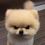 여자들은 한번이라도 꼭 읽어봐야 하는 <b>내용</b>.