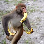 [댓글부탁해] 예비고삼인데 <b>ebs</b>로만 하는거 에바??