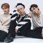 세븐틴 비주얼은 정조준인데
