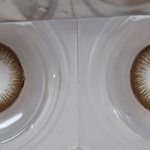 대형렌즈회사 내 <b>눈알</b> 내놔!!!