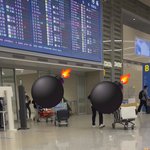 인천공항 강아지 <b>리드줄</b> 풀은 인간