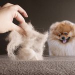 정말 <b>내</b> <b>몸</b>에서 나온 거라고?