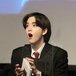 아니 이 말티즈 <b>형제</b>들 뭐임?