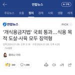 너네 개고기 <b>금지</b>된거 아냐