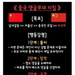 미래형 개량, <b>퇴보</b>형 개량