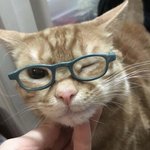 근데 고3 꿑나고 나니까 <b>쌤</b>들 <b>말</b> 다 맞았음