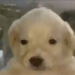 [댓글부탁해] 나 아동<b>미술</b>학원에서 일하는데ㅠㅠ