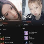 [블핑] 아니 로제는 갤럽,브랜드평판 든적도 없잖아